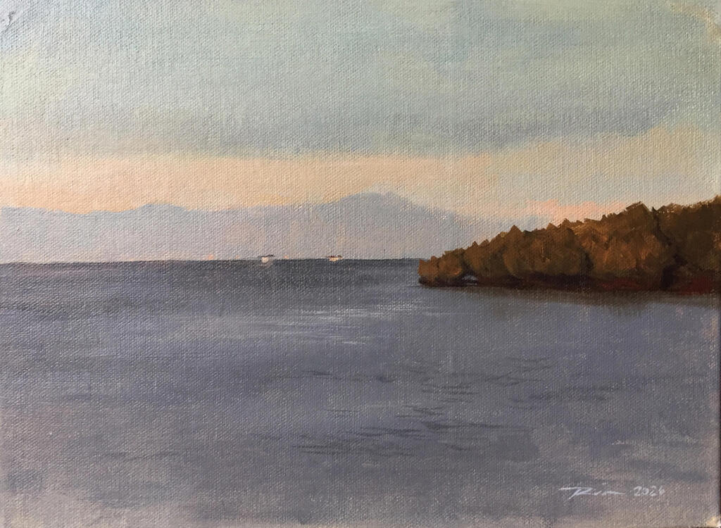 "Fishing Shacks from afar"